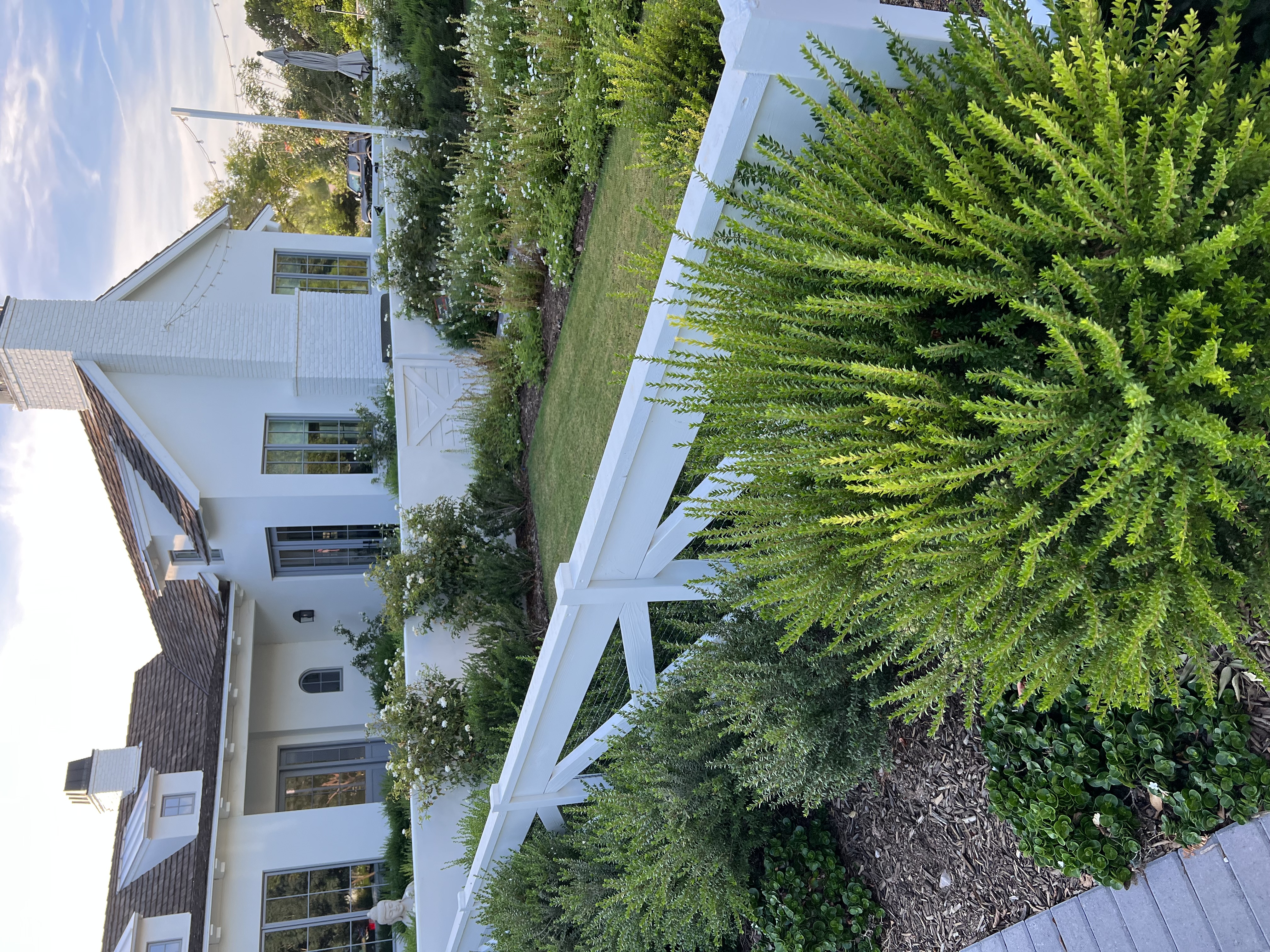 Arcadia & Arcadia Lite